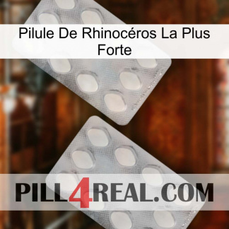 Pilule De Rhinocéros La Plus Forte 17